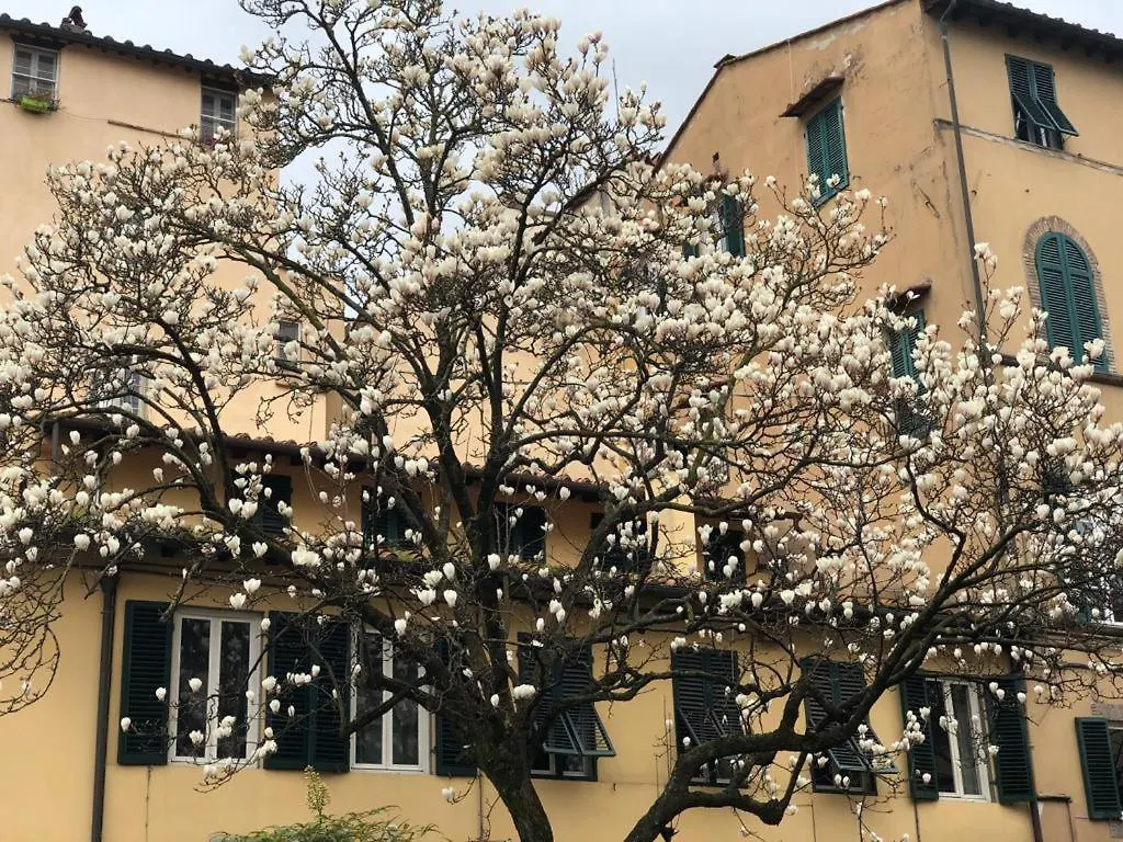 아파트 Appartamento San Pietro 루카